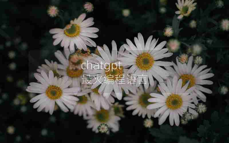 chatgpt 最火编程语言