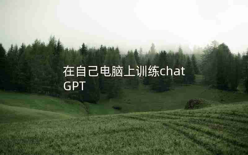 在自己电脑上训练chatGPT 在自己电脑上训练chatGPT