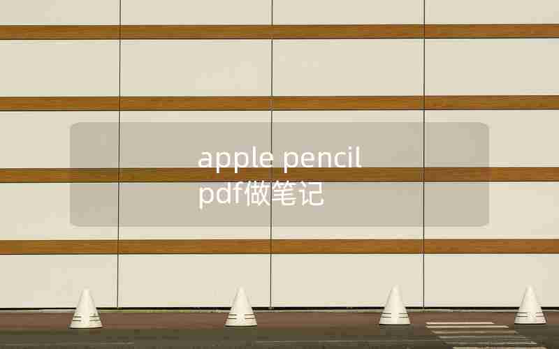 apple pencil pdf做笔记 apple pencil pdf做笔记