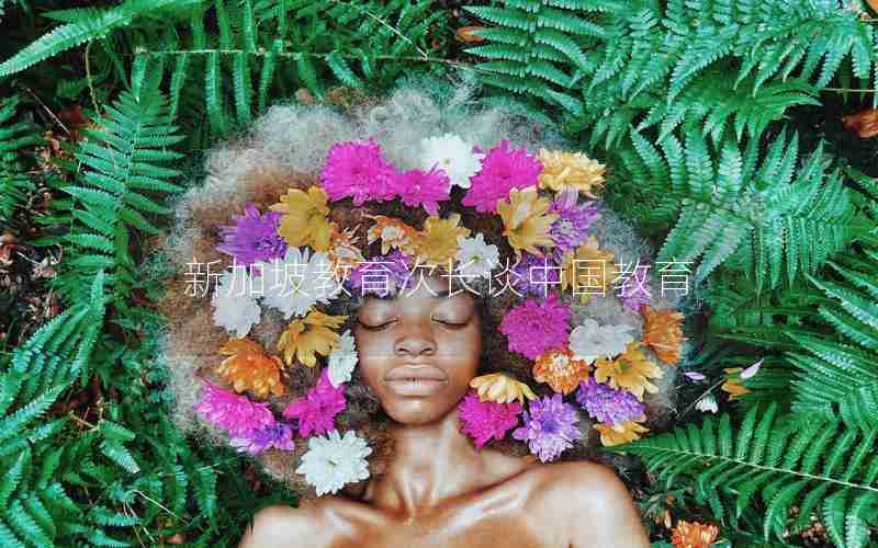 新加坡教育次长谈中国教育 新加坡教育次长谈中国教育
