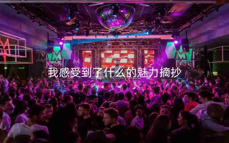 我感受到了什么的魅力摘抄