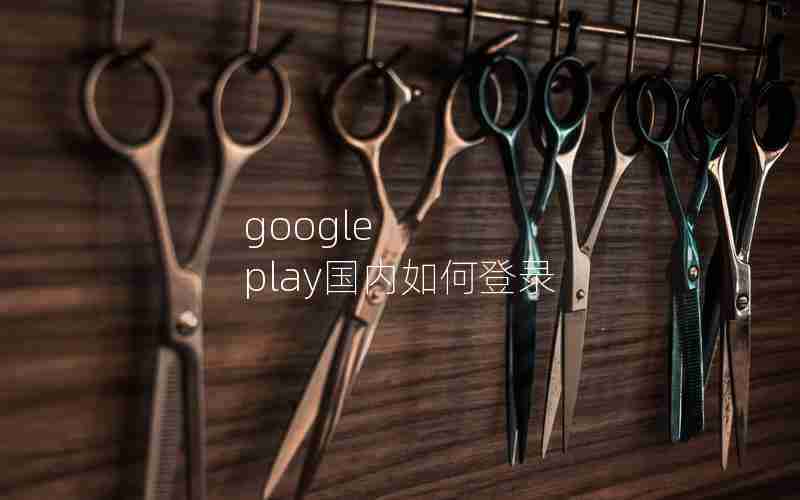 google play国内如何登录 google play国内如何登录