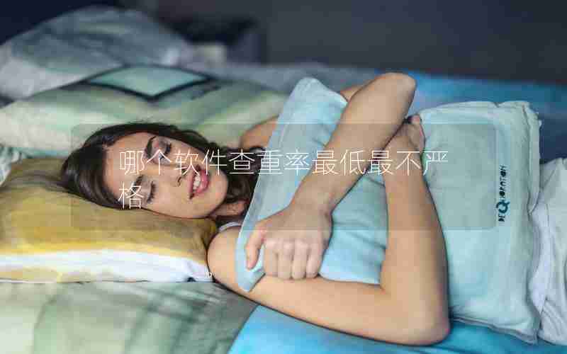 哪个软件查重率最低最不严格