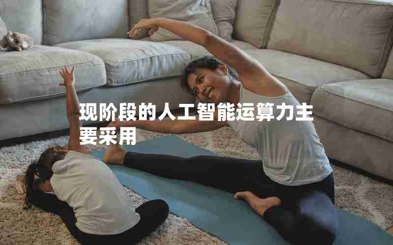 现阶段的人工智能运算力主要采用 现阶段的人工智能运算力主要采用