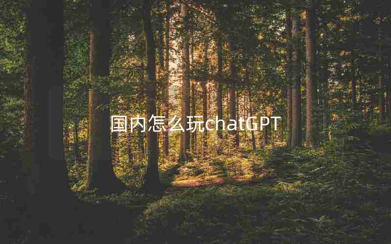 国内怎么玩chatGPT