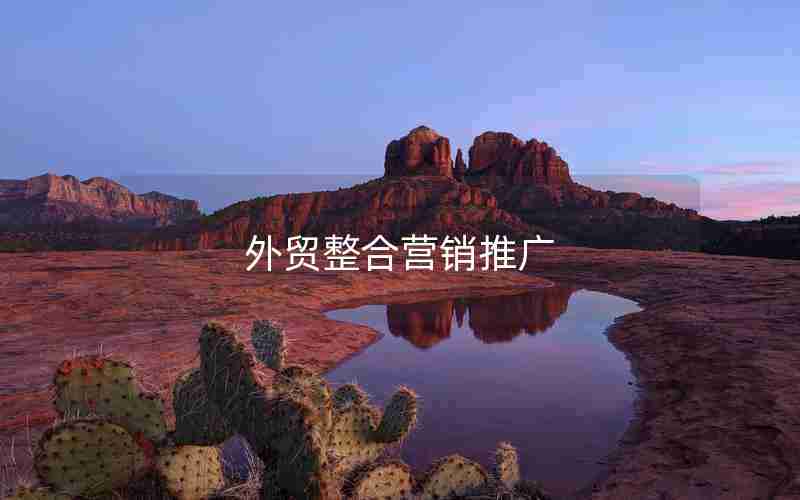 外贸整合营销推广 外贸整合营销推广