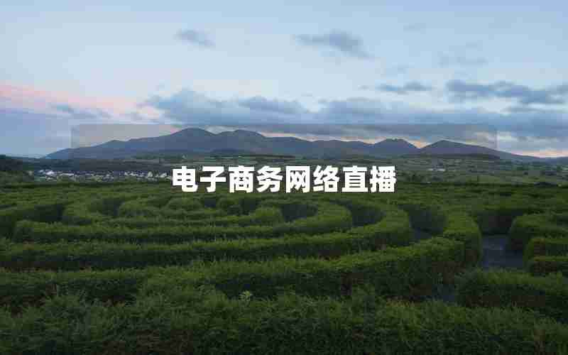 电子商务网络直播