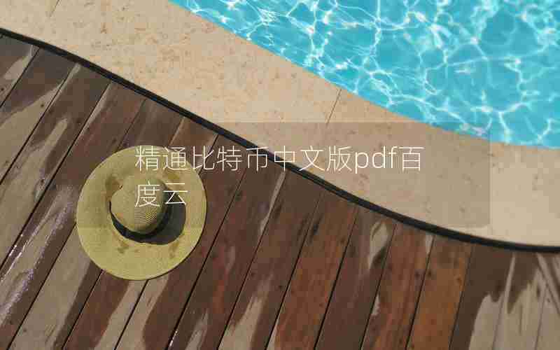 精通比特币中文版pdf百度云 精通比特币中文版pdf百度云