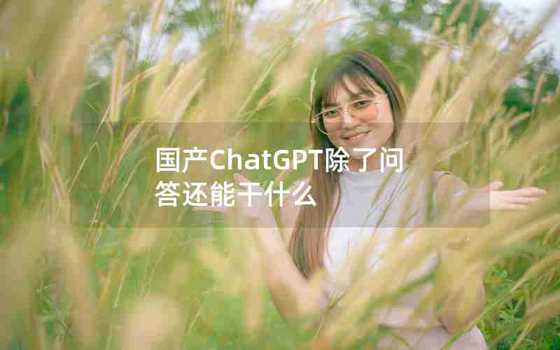 国产ChatGPT除了问答还能干什么