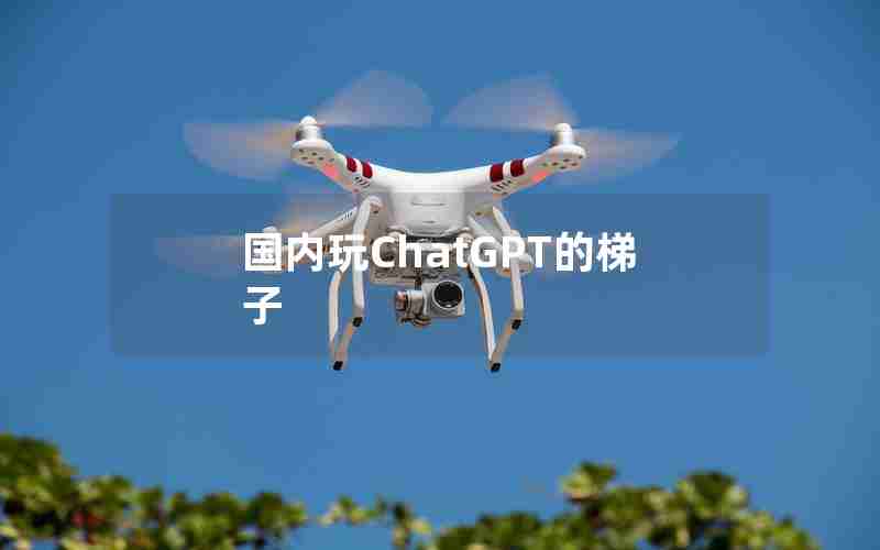 国内玩ChatGPT的梯子 国内玩ChatGPT的梯子