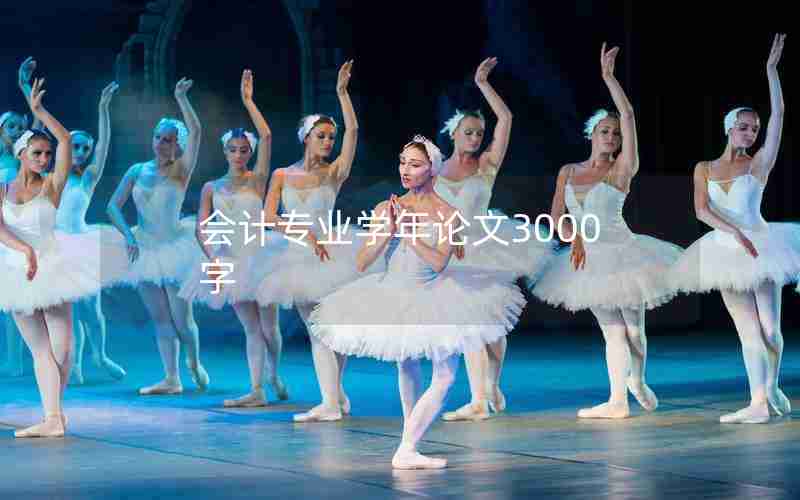 会计专业学年论文3000字