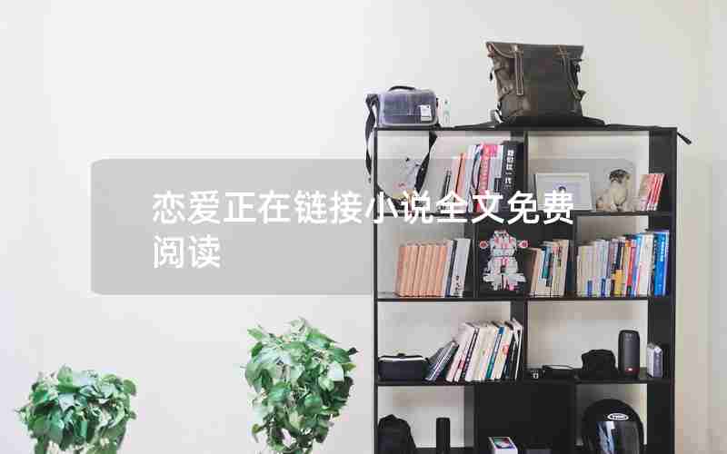 恋爱正在链接小说全文免费阅读