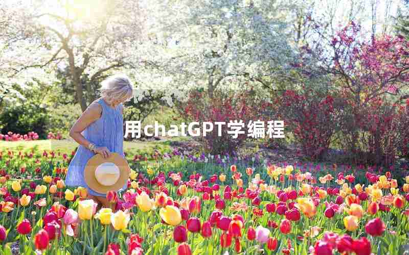 用chatGPT学编程