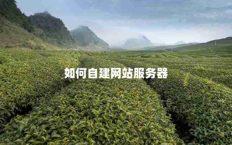 如何自建网站服务器