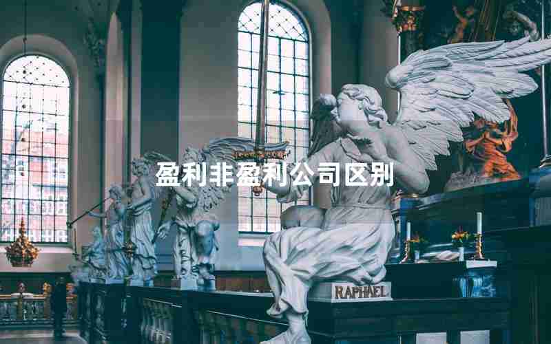 盈利非盈利公司区别