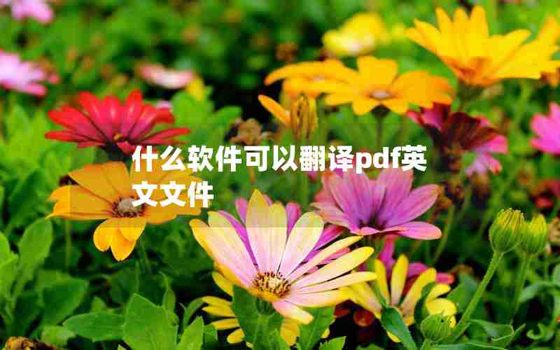什么软件可以翻译pdf英文文件