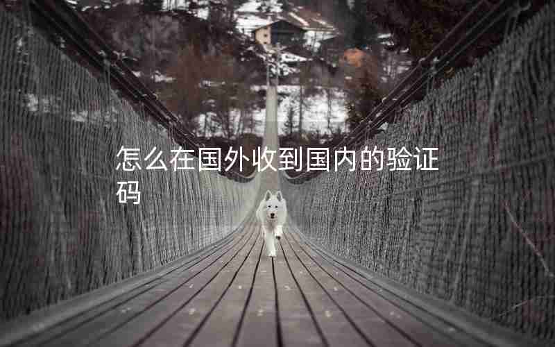 怎么在国外收到国内的验证码 怎么在国外收到国内的验证码
