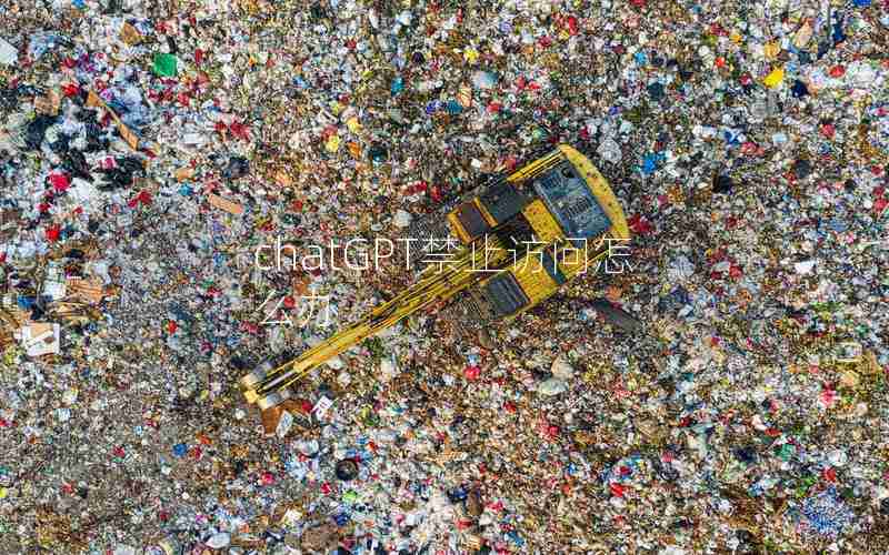 chatGPT禁止访问怎么办 chatGPT禁止访问怎么办
