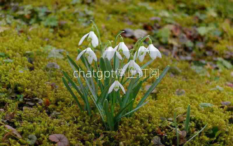 chatgpt停止订阅 chatgpt停止订阅