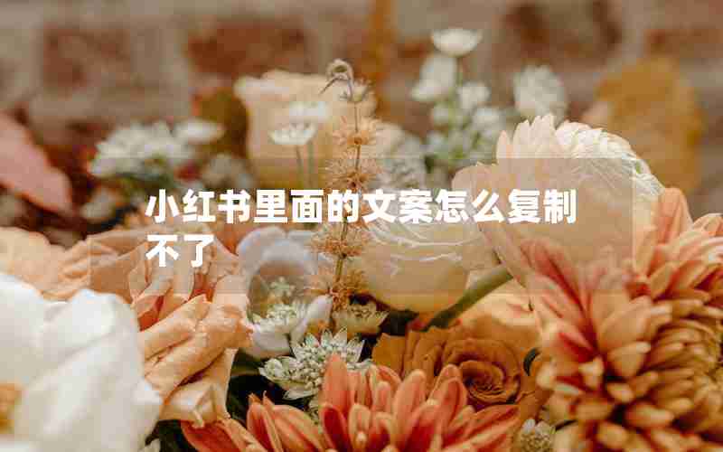 小红书里面的文案怎么复制不了 小红书里面的文案怎么复制不了