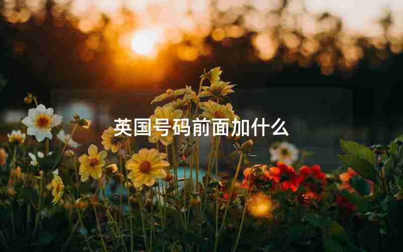 英国号码前面加什么
