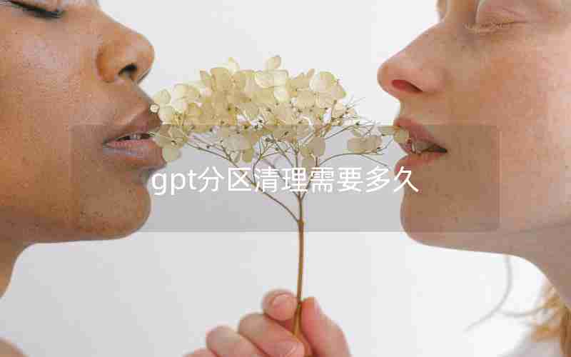 gpt分区清理需要多久