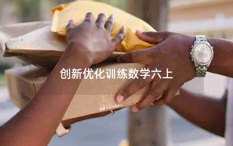 创新优化训练数学六上
