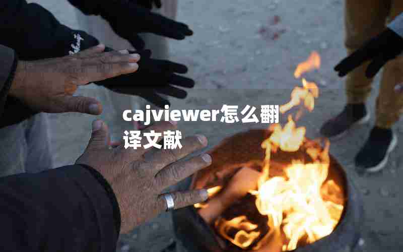 cajviewer怎么翻译文献
