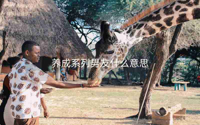 养成系列男友什么意思 养成系列男友什么意思