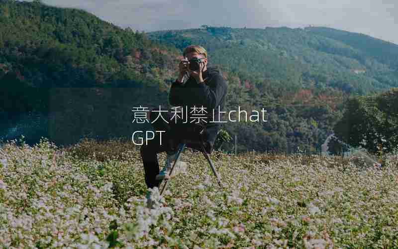 意大利禁止chat GPT 意大利禁止chat GPT