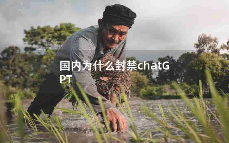 国内为什么封禁chatGPT 国内为什么封禁chatGPT