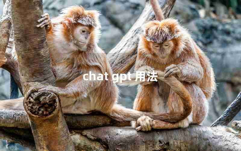 chat gpt 用法 chat gpt 用法