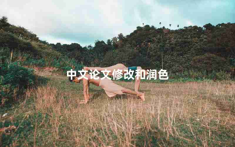 中文论文修改和润色