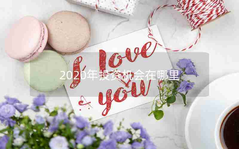 2020年投资机会在哪里