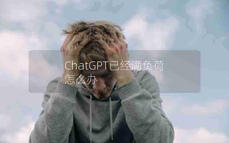 ChatGPT已经满负荷怎么办