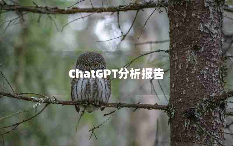 ChatGPT分析报告
