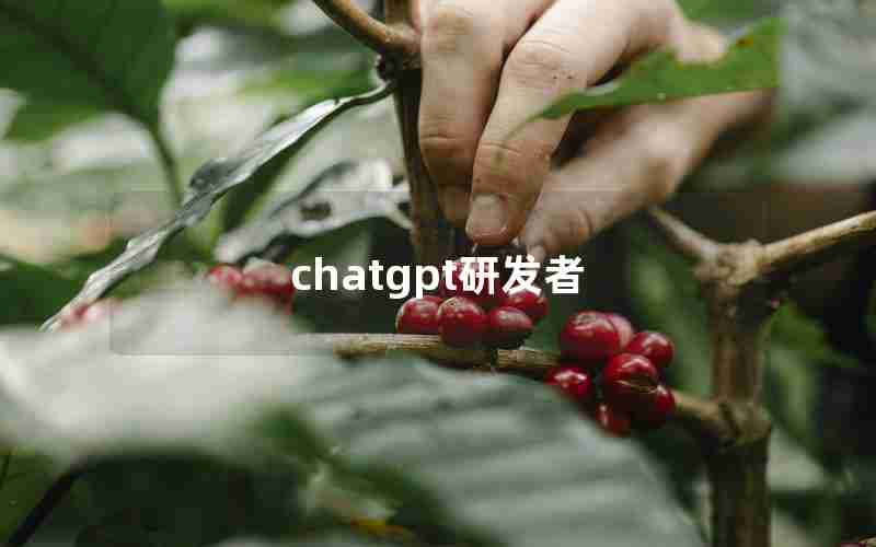 chatgpt研发者