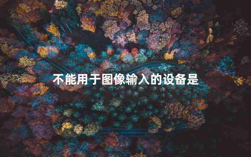 不能用于图像输入的设备是