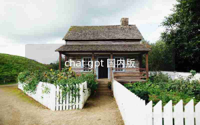 chat gpt 国内版 chat gpt 国内版