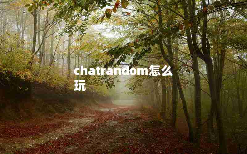 chatrandom怎么玩 chatrandom怎么玩