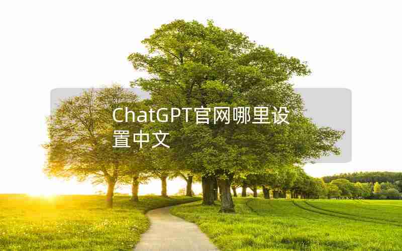 ChatGPT官网哪里设置中文 ChatGPT官网哪里设置中文