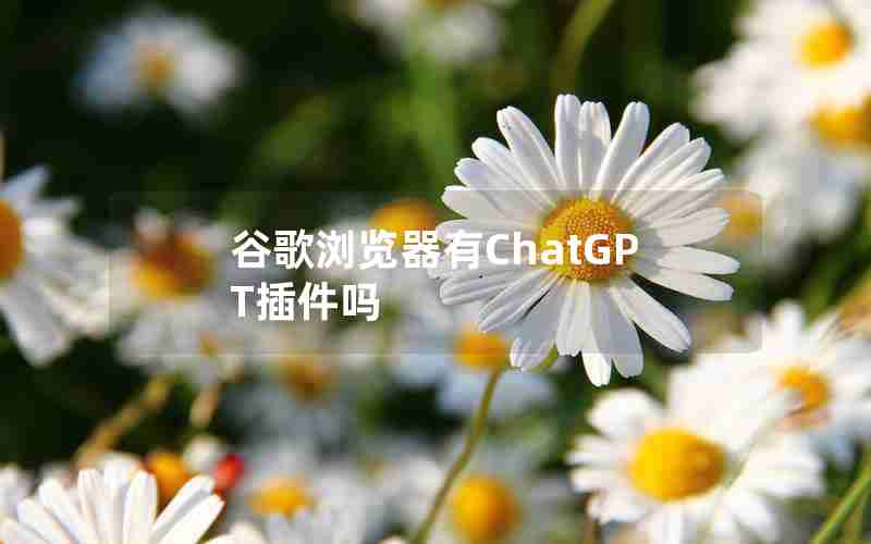 谷歌浏览器有ChatGPT插件吗