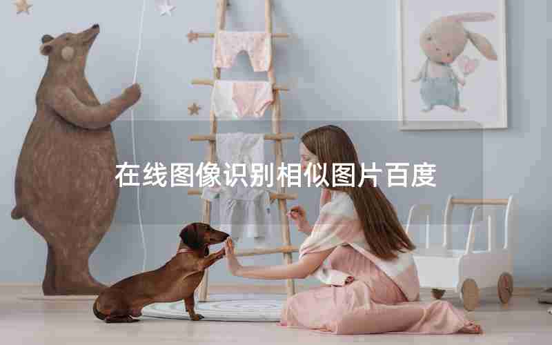 在线图像识别相似图片百度