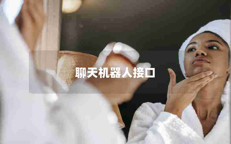 聊天机器人接口 聊天机器人接口