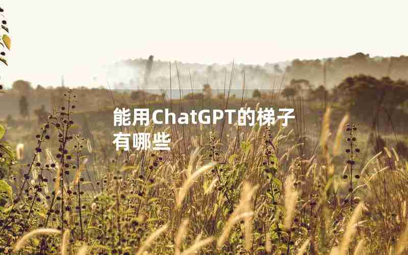 能用ChatGPT的梯子有哪些 能用ChatGPT的梯子有哪些