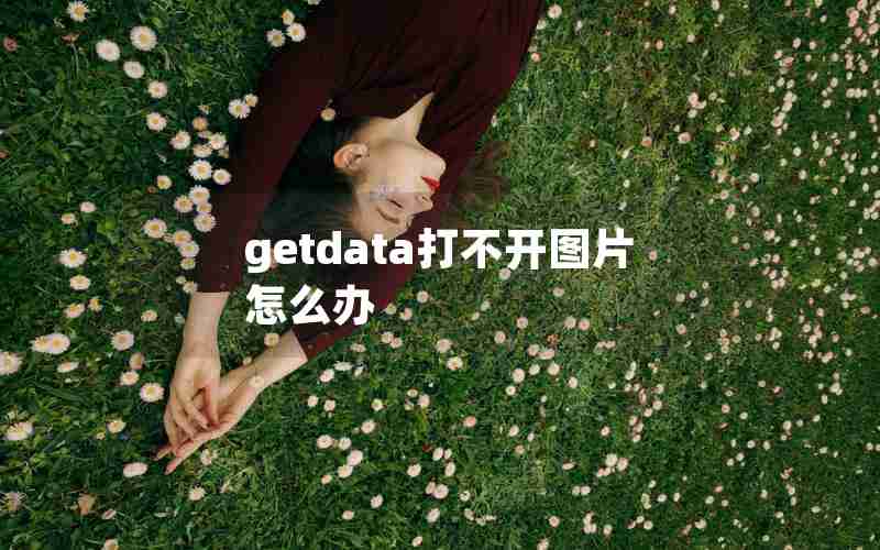 getdata打不开图片怎么办