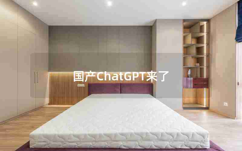 国产ChatGPT来了