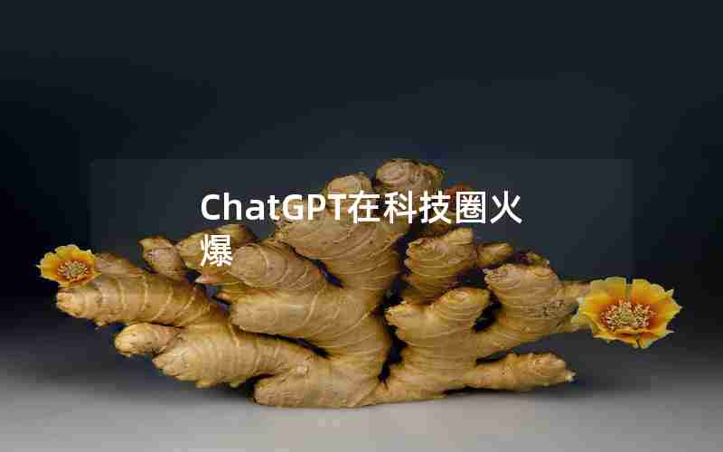 ChatGPT在科技圈火爆
