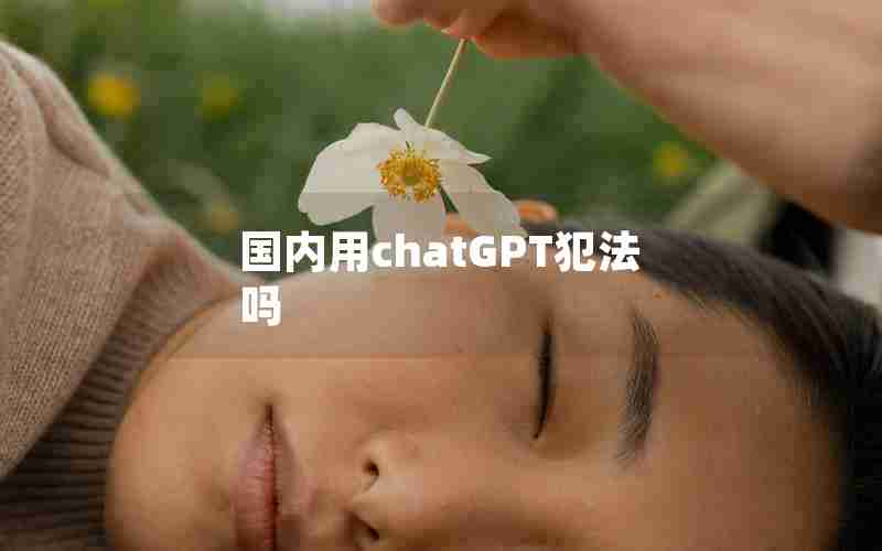 国内用chatGPT犯法吗 国内用chatGPT犯法吗