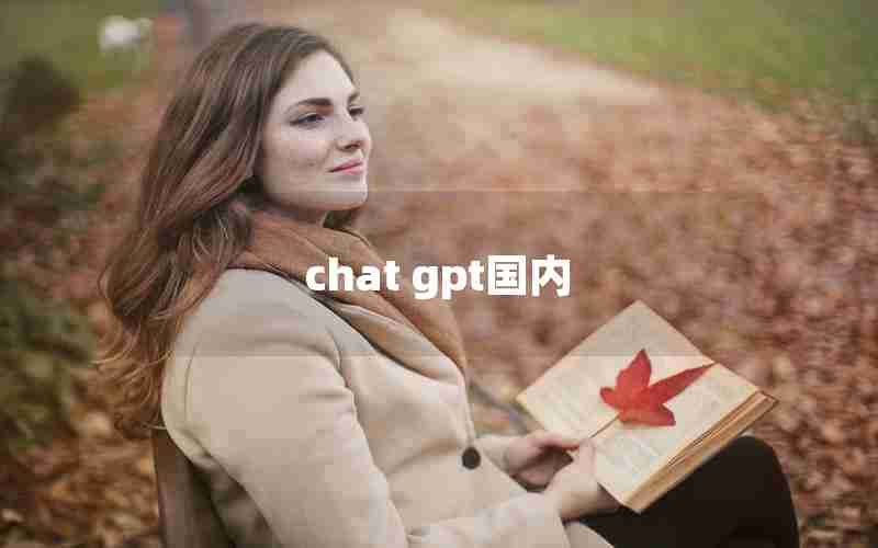 chat gpt国内